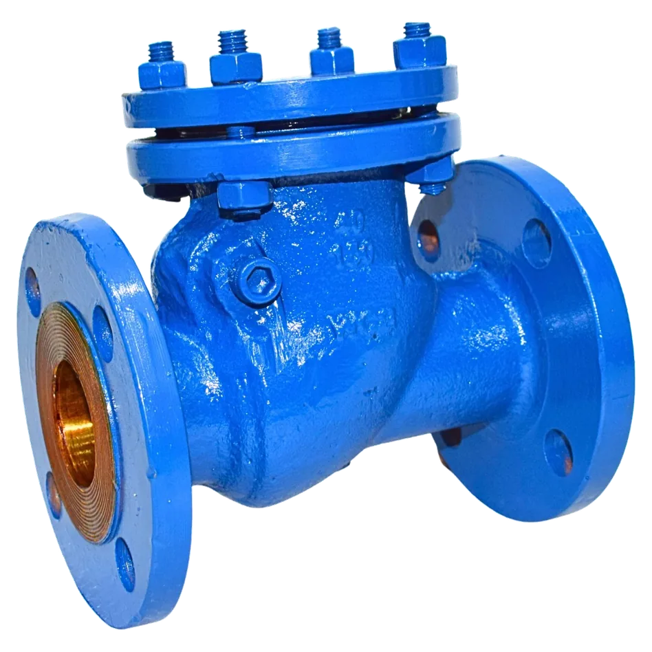 Carbon steel swing-type check valve