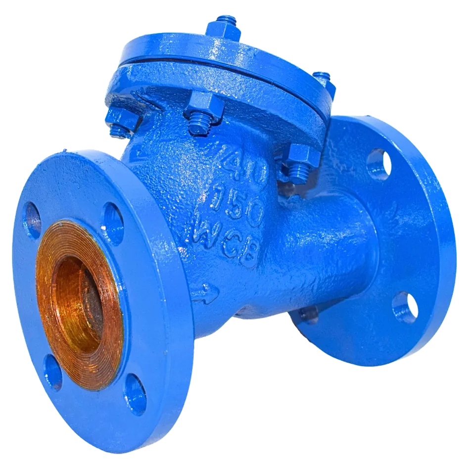 Carbon steel Y-type pipeline strainer